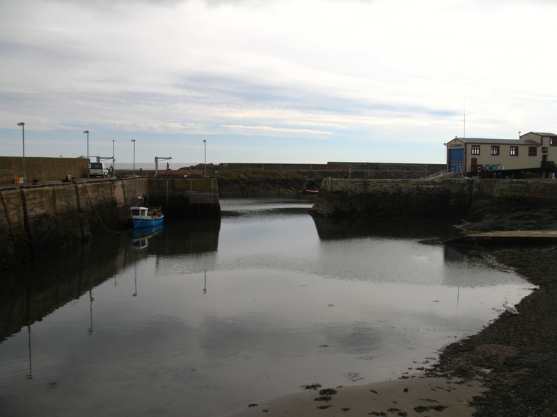 2009-05-23 St Abbs 052.jpg